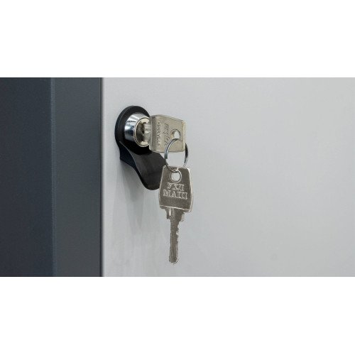 Werkbank der Serie PROFI 41 2S2L/SD W