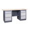Workbench from the PROFI series 41 M2L/M2L P