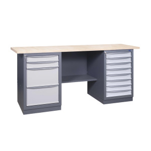 Werkbank der Serie PROFI 41 2S2L/8S P