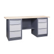 Workbench from the PROFI series 41 M2L/M2L P