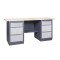 Werkbank der Serie PROFI 41 M2L/M2L P