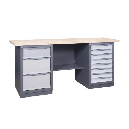 Werkbank der Serie PROFI 41 M2L/8S P