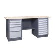 Werkbank der Serie PROFI 41 3SML/8S P
