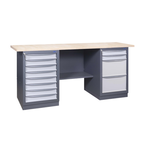 Werkbank der Serie PROFI 41 8S/2S2L P