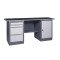 Werkbank der Serie PROFI 41 2S2L/D R