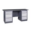 Werkbank der Serie PROFI 41 2S2L/M2L R