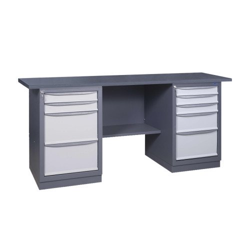 Werkbank der Serie PROFI 41 2S2L/3SML M