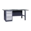 Werkbank der Serie PROFI 31 M2L S