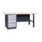Werkbank der Serie PROFI 31 3SML P