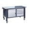 Mobile workbench (on adjustable supports) VRM 31 3SM/SD G(2,0)