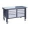 Mobile workbench (on adjustable supports) VRM 31 3SM/3SM G(2,0)