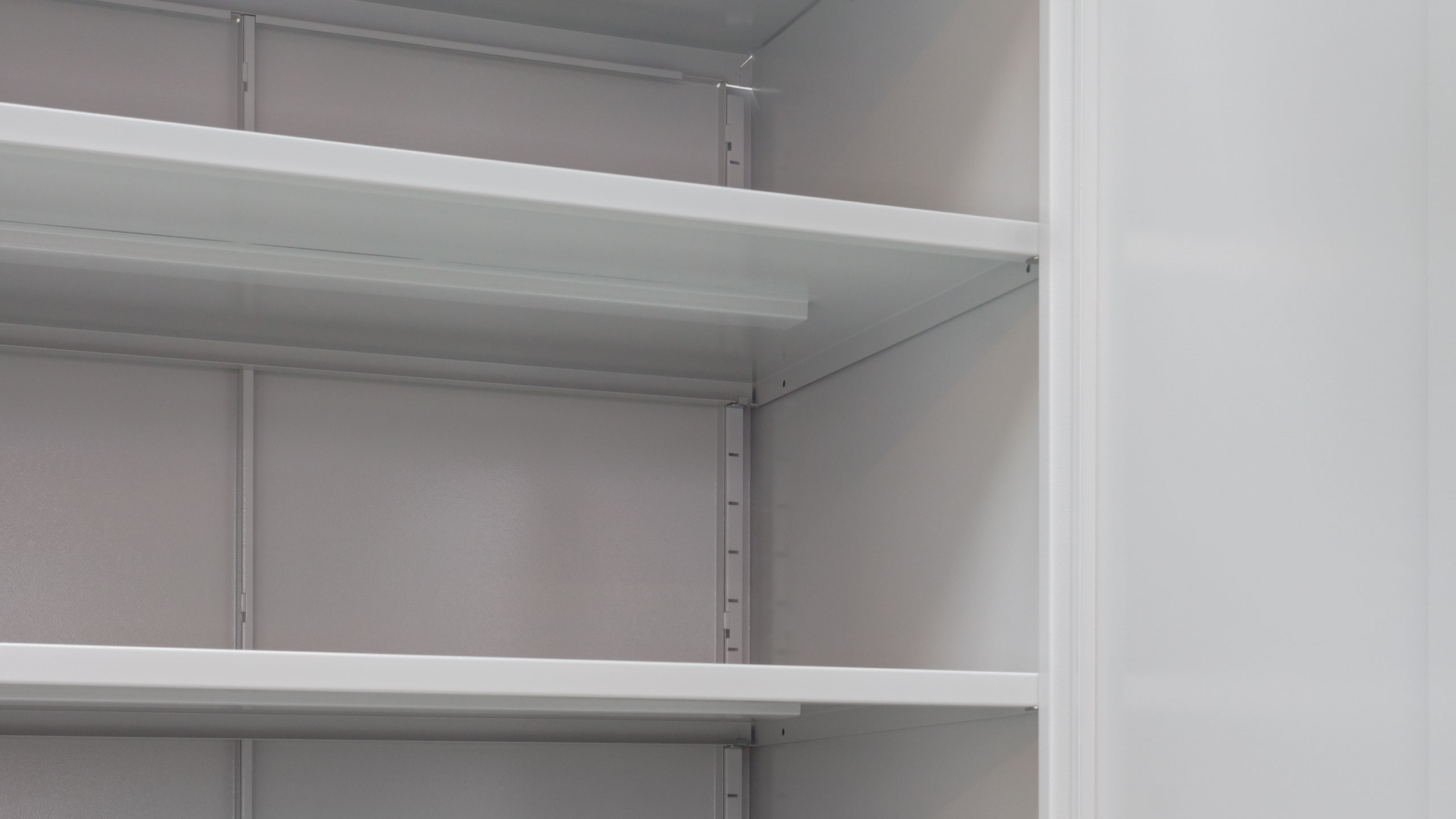 Cabinet shelves for office model SKG